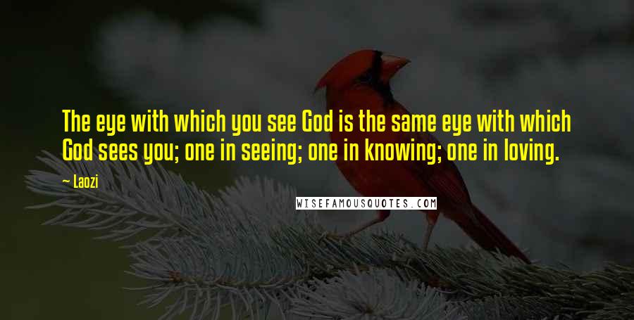 Laozi Quotes: The eye with which you see God is the same eye with which God sees you; one in seeing; one in knowing; one in loving.