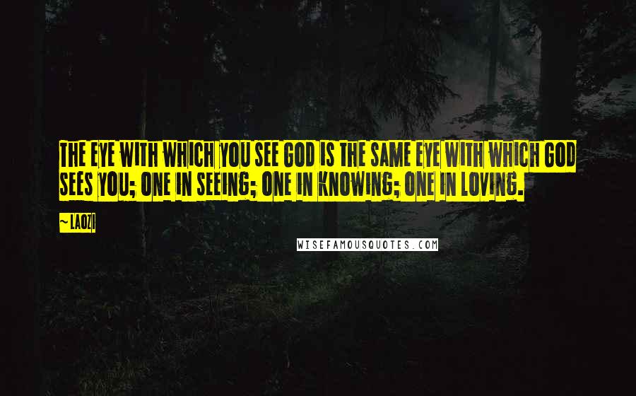 Laozi Quotes: The eye with which you see God is the same eye with which God sees you; one in seeing; one in knowing; one in loving.