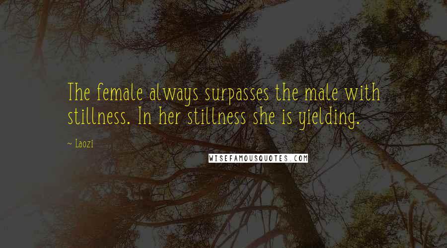 Laozi Quotes: The female always surpasses the male with stillness. In her stillness she is yielding.