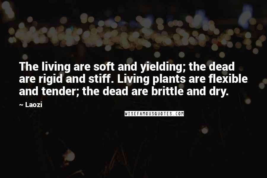 Laozi Quotes: The living are soft and yielding; the dead are rigid and stiff. Living plants are flexible and tender; the dead are brittle and dry.