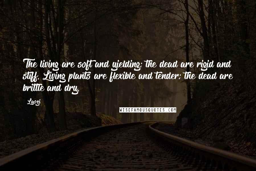 Laozi Quotes: The living are soft and yielding; the dead are rigid and stiff. Living plants are flexible and tender; the dead are brittle and dry.