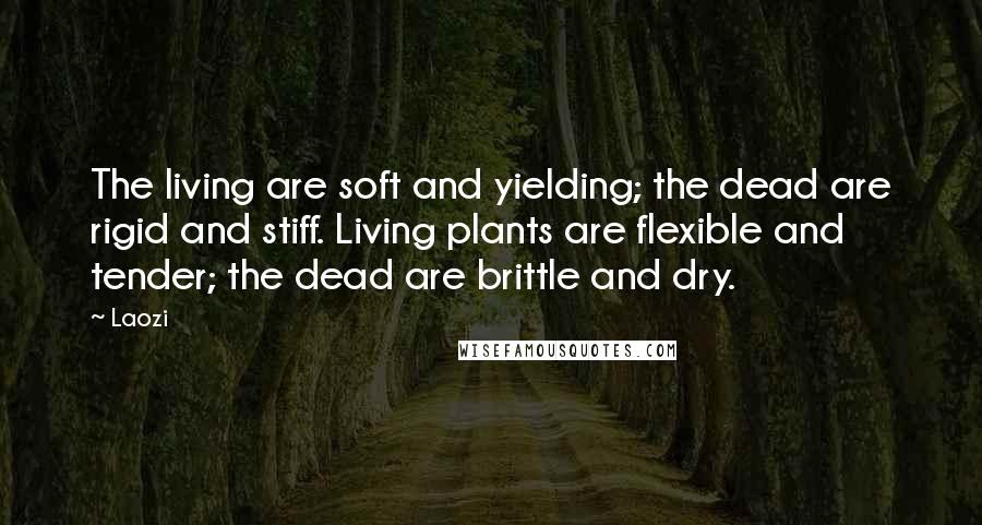 Laozi Quotes: The living are soft and yielding; the dead are rigid and stiff. Living plants are flexible and tender; the dead are brittle and dry.