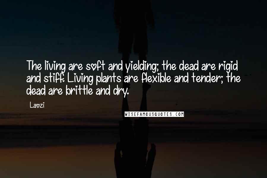 Laozi Quotes: The living are soft and yielding; the dead are rigid and stiff. Living plants are flexible and tender; the dead are brittle and dry.