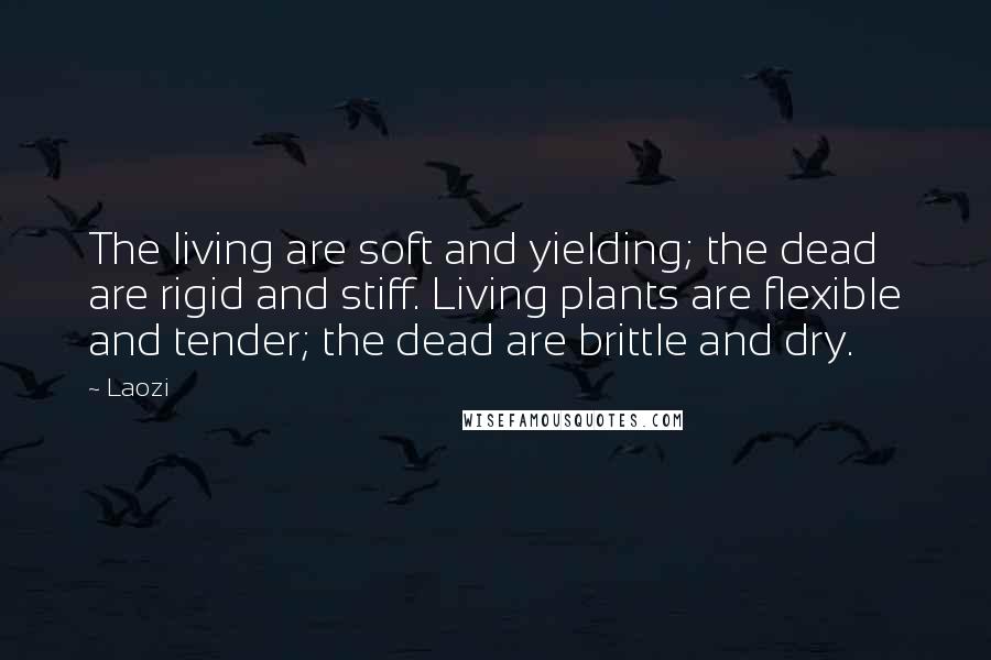 Laozi Quotes: The living are soft and yielding; the dead are rigid and stiff. Living plants are flexible and tender; the dead are brittle and dry.