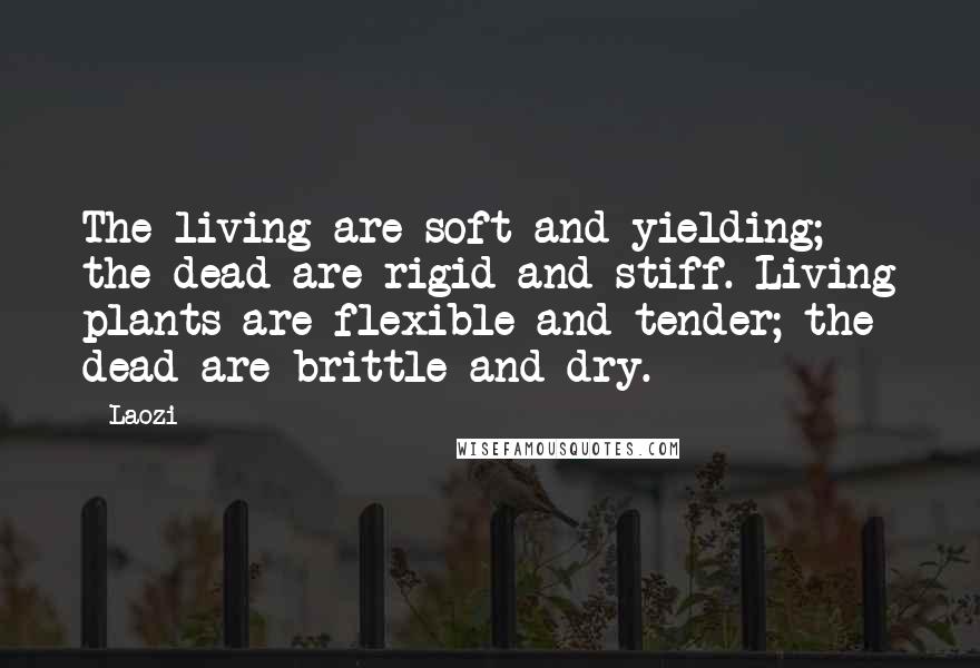 Laozi Quotes: The living are soft and yielding; the dead are rigid and stiff. Living plants are flexible and tender; the dead are brittle and dry.