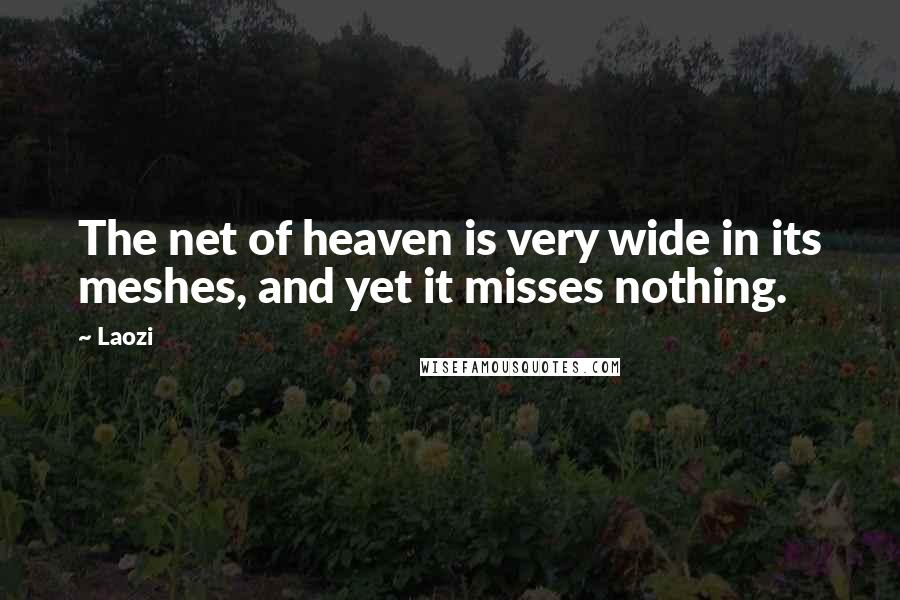 Laozi Quotes: The net of heaven is very wide in its meshes, and yet it misses nothing.