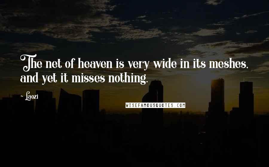 Laozi Quotes: The net of heaven is very wide in its meshes, and yet it misses nothing.