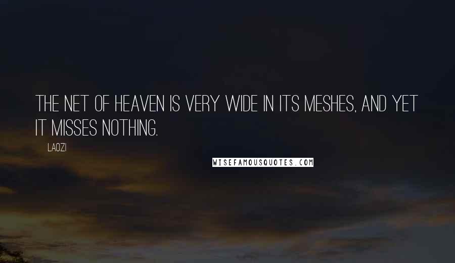 Laozi Quotes: The net of heaven is very wide in its meshes, and yet it misses nothing.