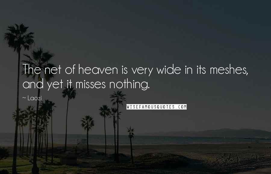 Laozi Quotes: The net of heaven is very wide in its meshes, and yet it misses nothing.