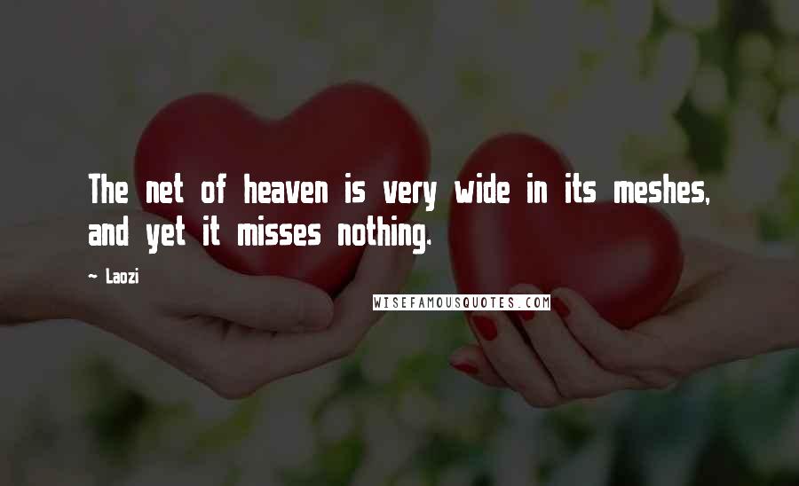 Laozi Quotes: The net of heaven is very wide in its meshes, and yet it misses nothing.