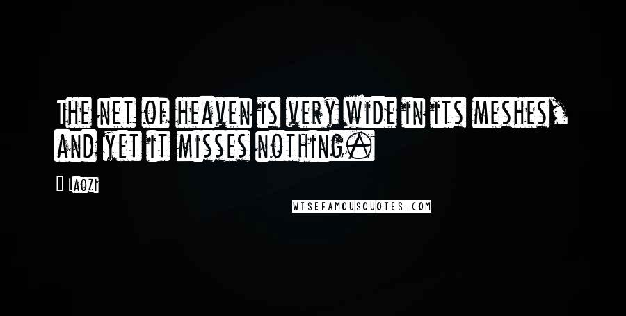 Laozi Quotes: The net of heaven is very wide in its meshes, and yet it misses nothing.