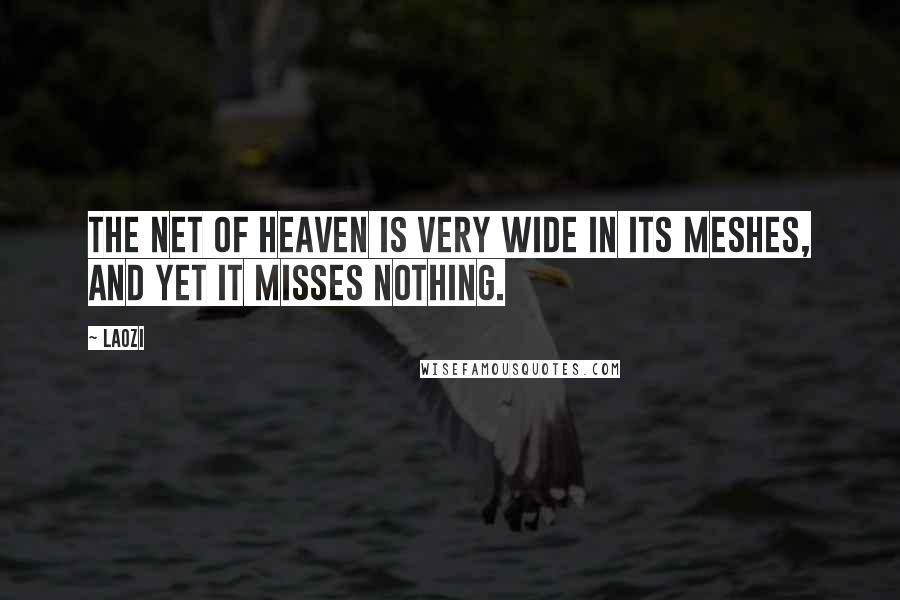 Laozi Quotes: The net of heaven is very wide in its meshes, and yet it misses nothing.