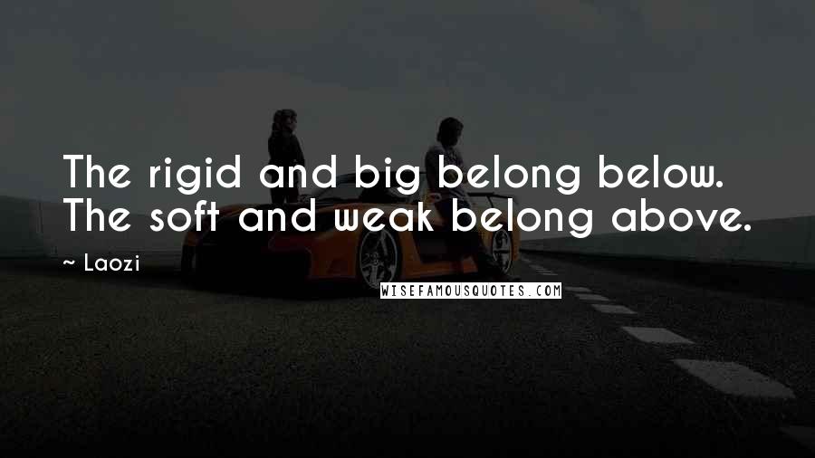 Laozi Quotes: The rigid and big belong below. The soft and weak belong above.