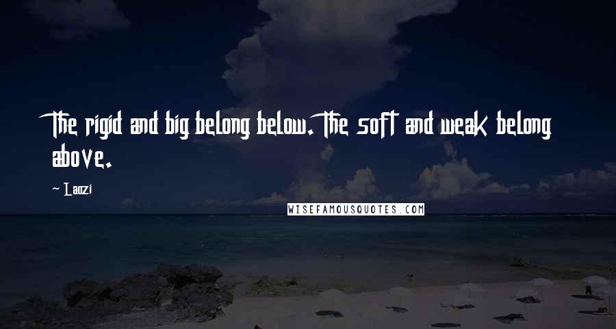 Laozi Quotes: The rigid and big belong below. The soft and weak belong above.
