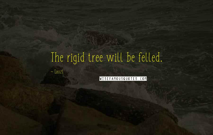 Laozi Quotes: The rigid tree will be felled.