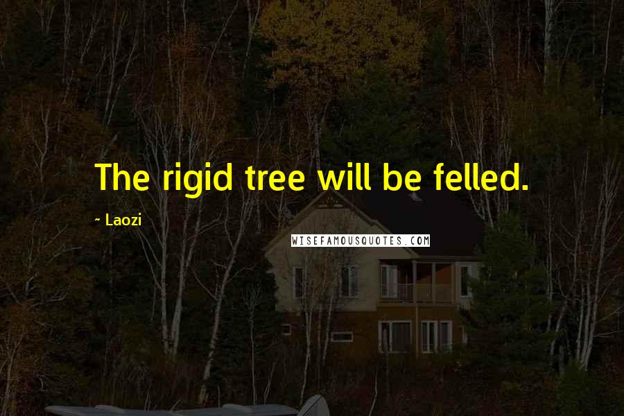 Laozi Quotes: The rigid tree will be felled.