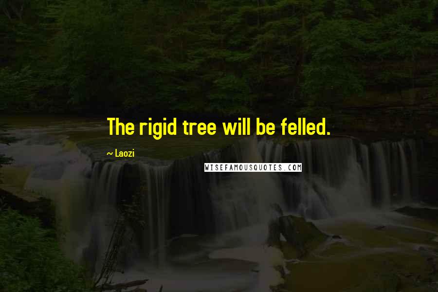 Laozi Quotes: The rigid tree will be felled.