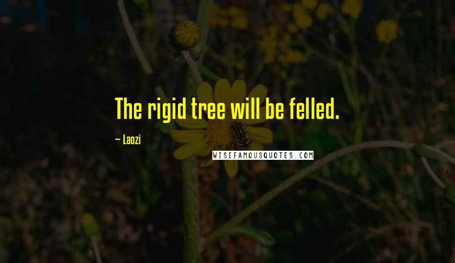 Laozi Quotes: The rigid tree will be felled.