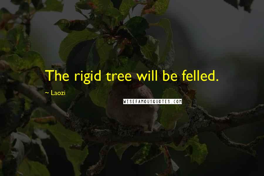 Laozi Quotes: The rigid tree will be felled.