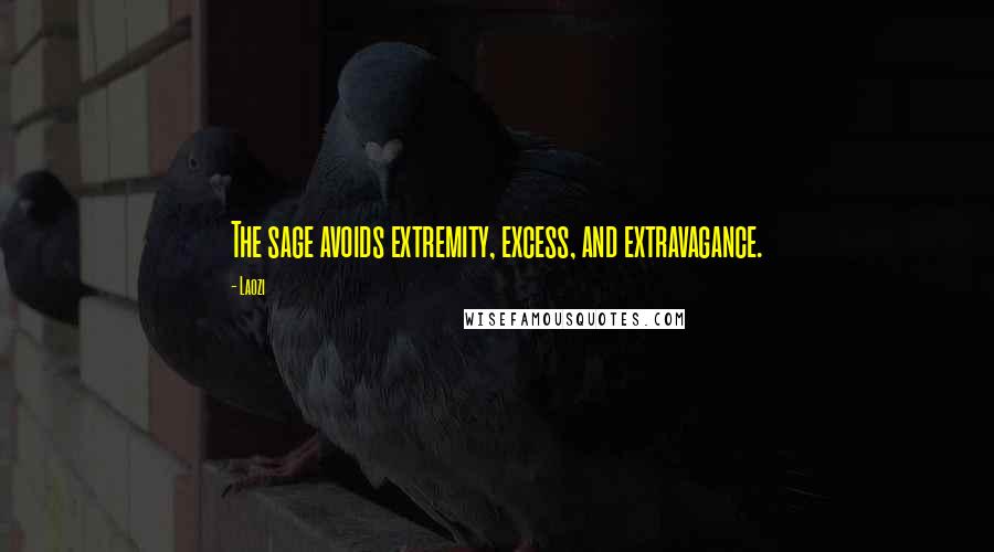 Laozi Quotes: The sage avoids extremity, excess, and extravagance.