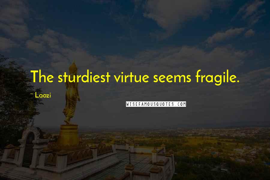 Laozi Quotes: The sturdiest virtue seems fragile.