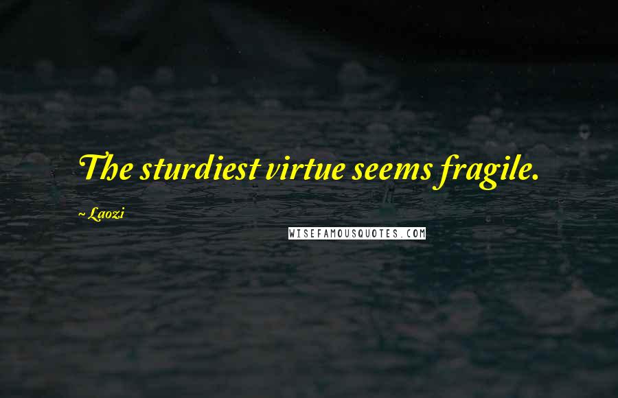 Laozi Quotes: The sturdiest virtue seems fragile.