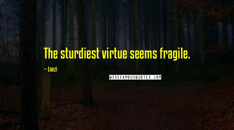 Laozi Quotes: The sturdiest virtue seems fragile.