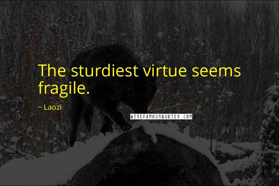 Laozi Quotes: The sturdiest virtue seems fragile.