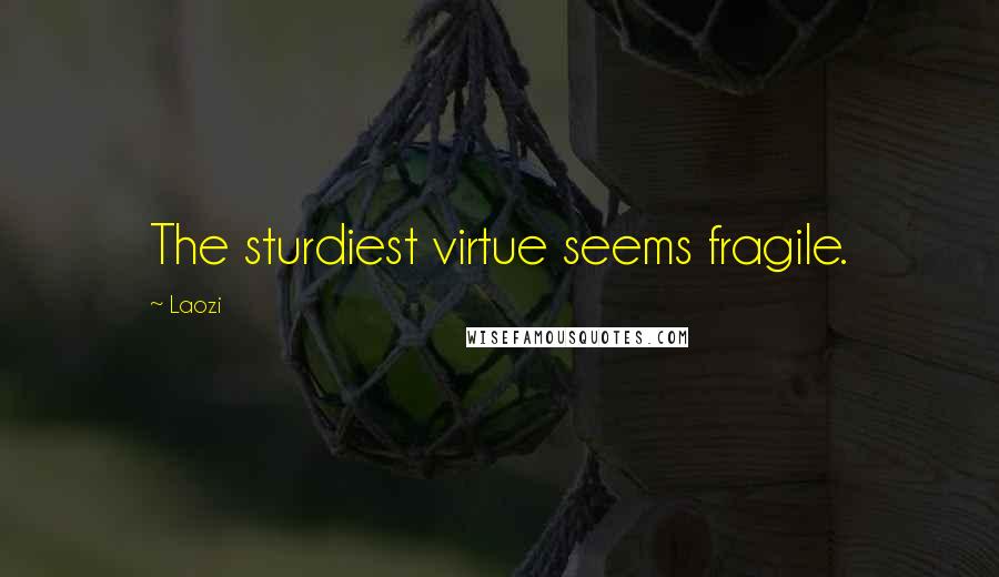 Laozi Quotes: The sturdiest virtue seems fragile.