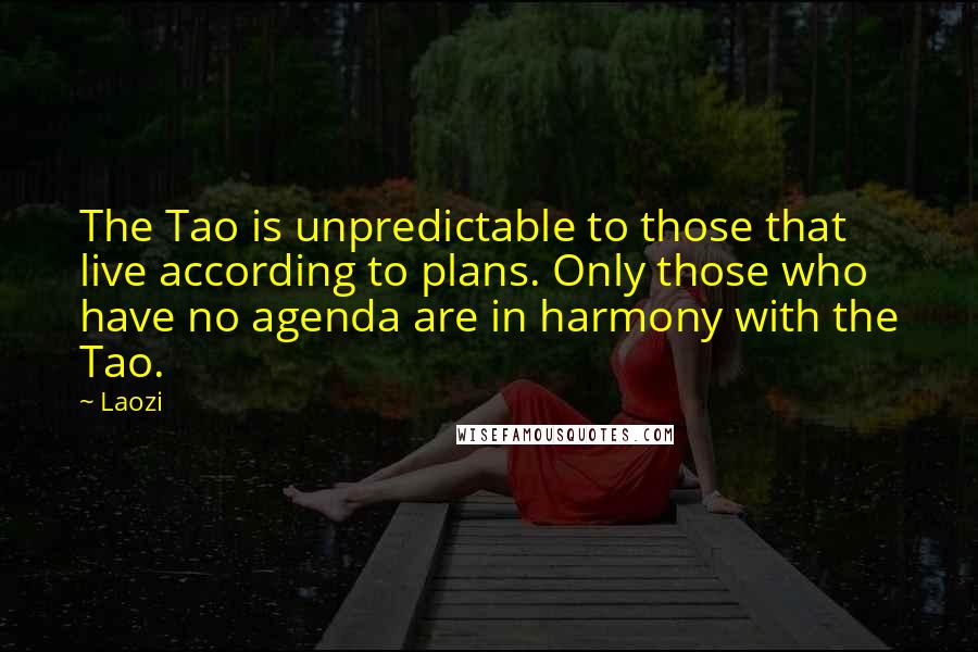 Laozi Quotes: The Tao is unpredictable to those that live according to plans. Only those who have no agenda are in harmony with the Tao.