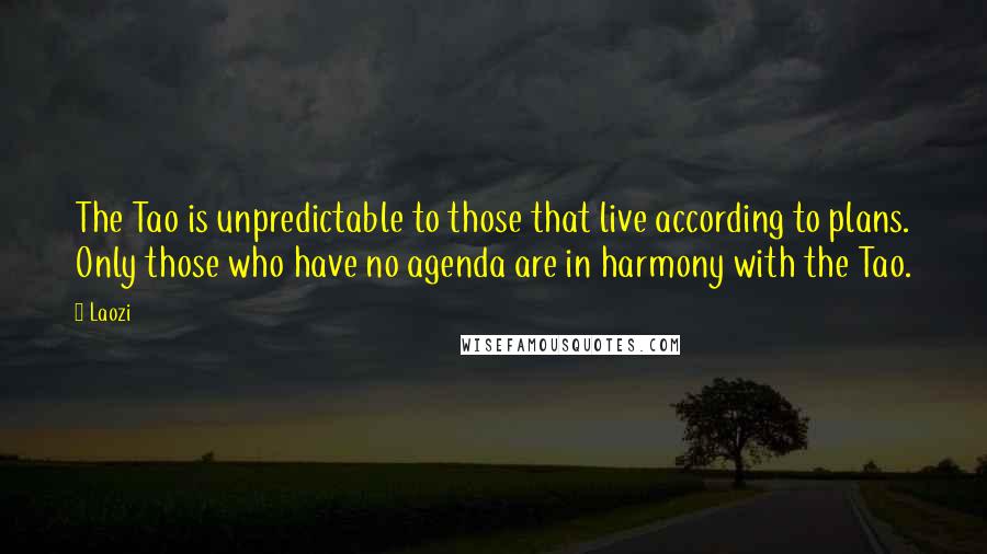 Laozi Quotes: The Tao is unpredictable to those that live according to plans. Only those who have no agenda are in harmony with the Tao.