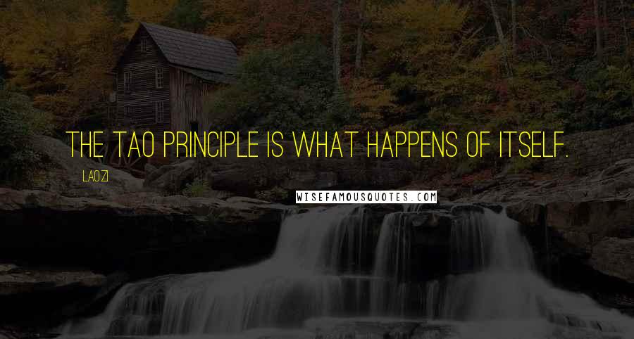 Laozi Quotes: The Tao principle is what happens of itself.