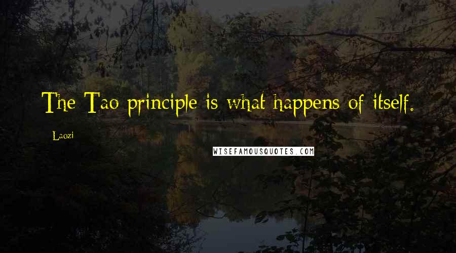 Laozi Quotes: The Tao principle is what happens of itself.
