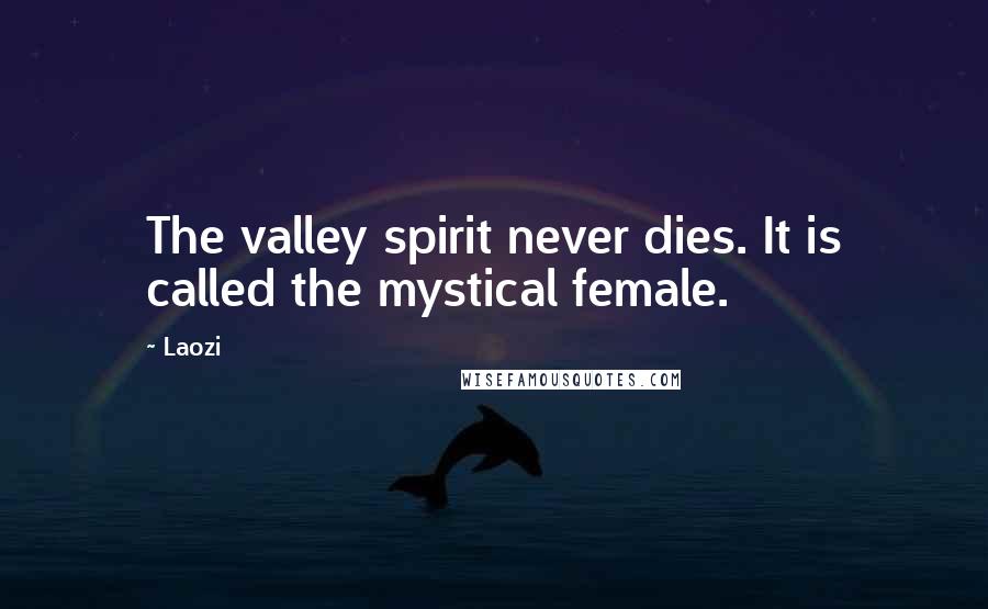 Laozi Quotes: The valley spirit never dies. It is called the mystical female.