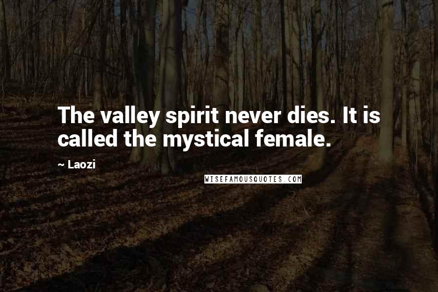 Laozi Quotes: The valley spirit never dies. It is called the mystical female.