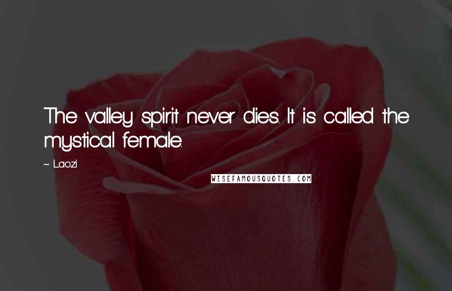 Laozi Quotes: The valley spirit never dies. It is called the mystical female.