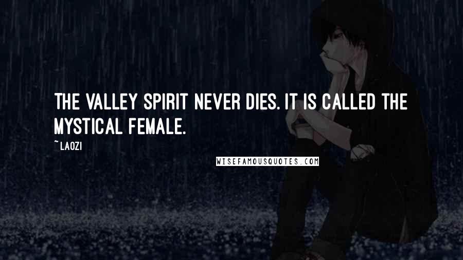 Laozi Quotes: The valley spirit never dies. It is called the mystical female.