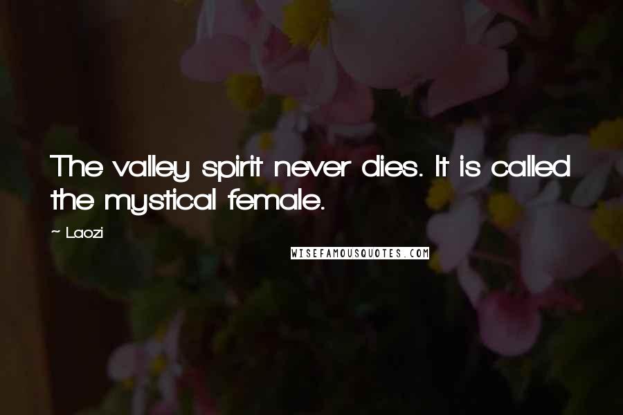 Laozi Quotes: The valley spirit never dies. It is called the mystical female.