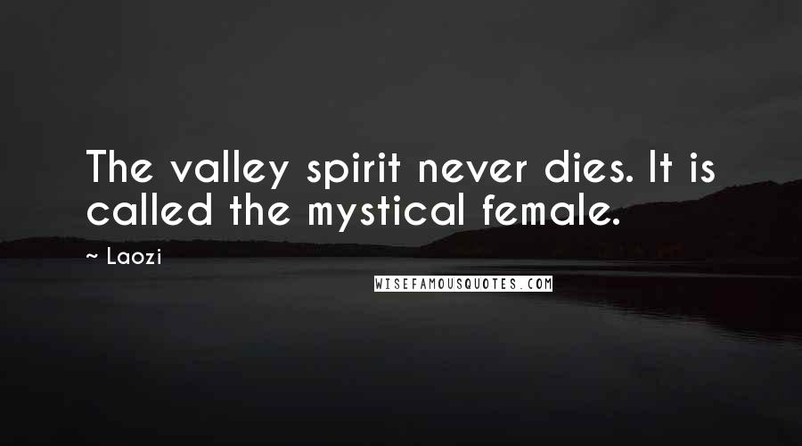 Laozi Quotes: The valley spirit never dies. It is called the mystical female.