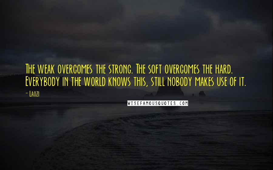 Laozi Quotes: The weak overcomes the strong. The soft overcomes the hard. Everybody in the world knows this, still nobody makes use of it.