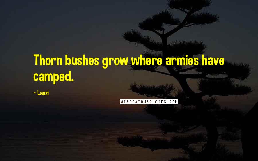 Laozi Quotes: Thorn bushes grow where armies have camped.