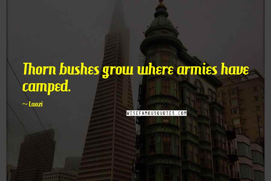 Laozi Quotes: Thorn bushes grow where armies have camped.