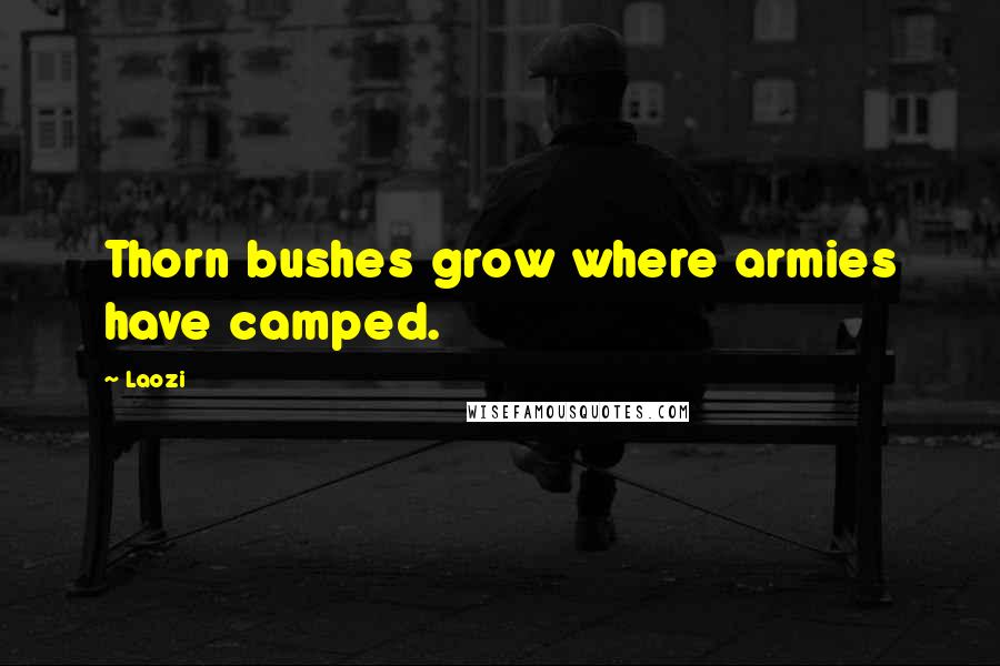 Laozi Quotes: Thorn bushes grow where armies have camped.