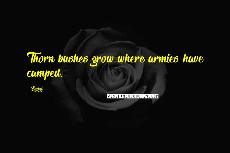 Laozi Quotes: Thorn bushes grow where armies have camped.