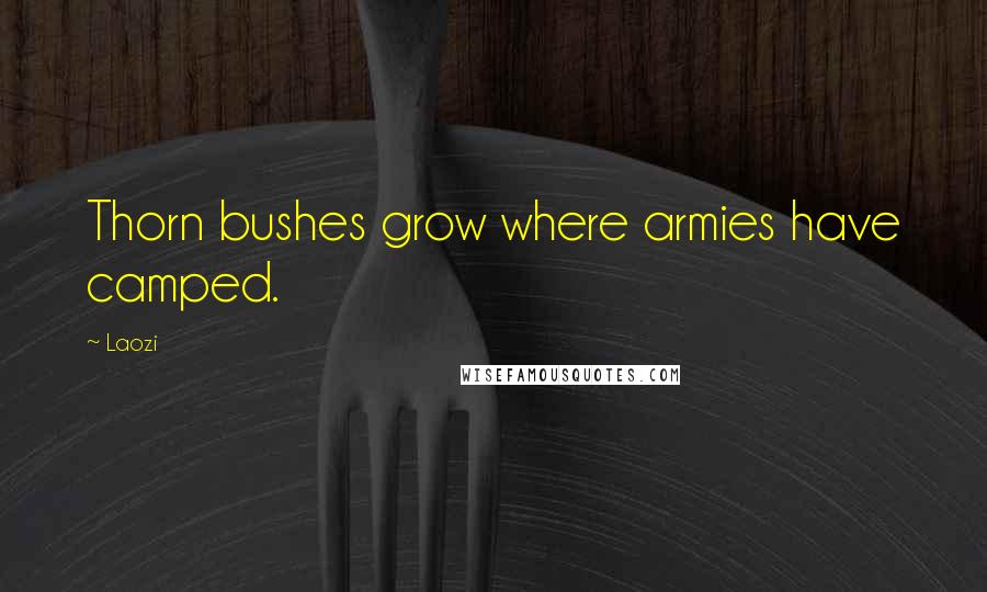 Laozi Quotes: Thorn bushes grow where armies have camped.