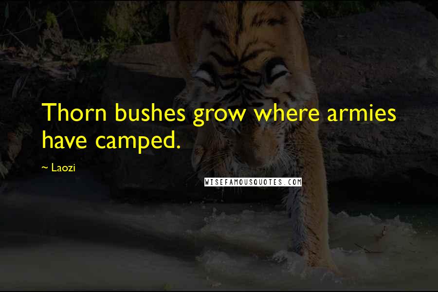 Laozi Quotes: Thorn bushes grow where armies have camped.