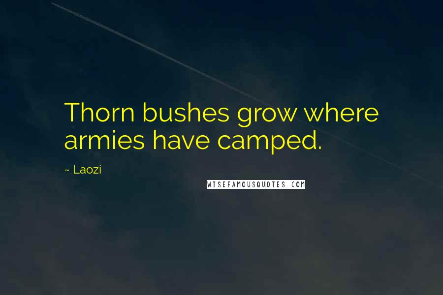 Laozi Quotes: Thorn bushes grow where armies have camped.