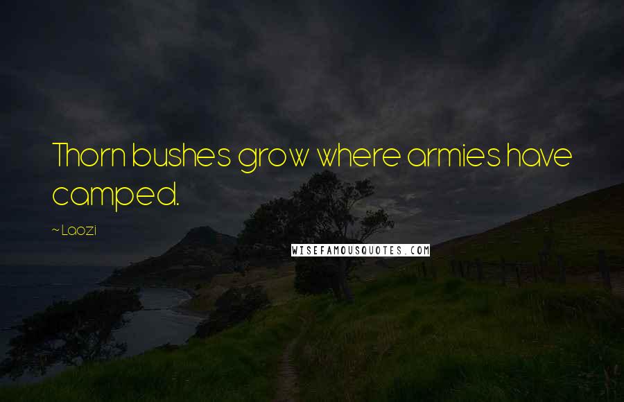 Laozi Quotes: Thorn bushes grow where armies have camped.