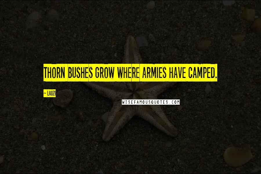 Laozi Quotes: Thorn bushes grow where armies have camped.