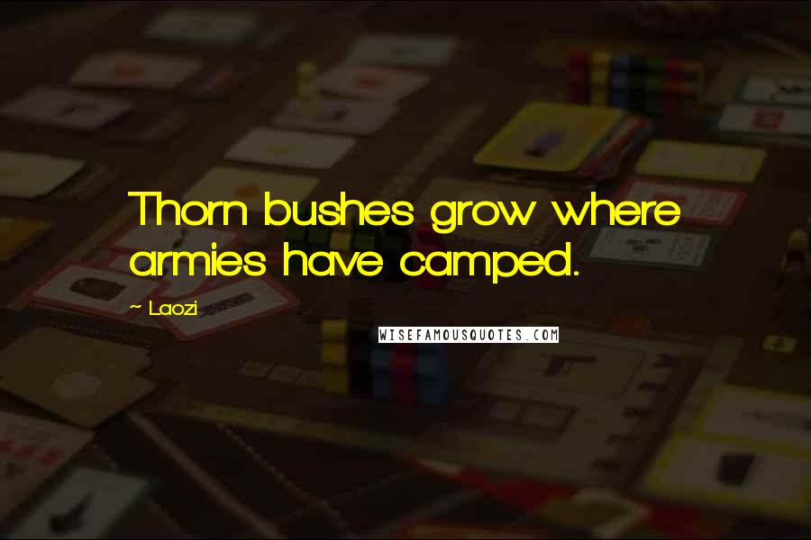 Laozi Quotes: Thorn bushes grow where armies have camped.